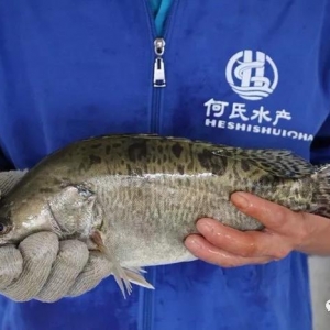 �V�|�˹𹩲����󡢃r���ϝq��������鿴�ã�