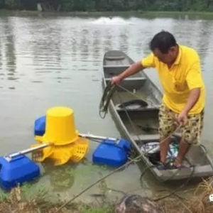 �Ї�ˮ�a�Bֳ�����@Щ��������������ȫ�����