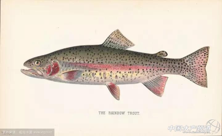 ���{|ǧ�f�e�����Ϯ�(d��ng)?sh��)������~�����������Ǽ٣�