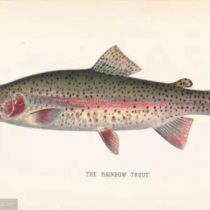 ���{|ǧ�f�e�����Ϯ��������~�����������Ǽ٣�