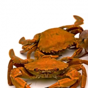 �۠��m���Z�qз2018��СҎ��aƷ��ֹͣ����