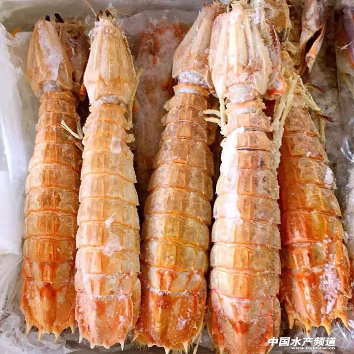 2017��11��24��ƤƤ�r���Ј��r��