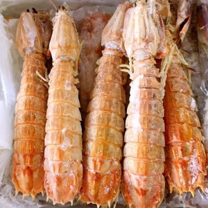 2017��11��24��ƤƤ�r���Ј��r��