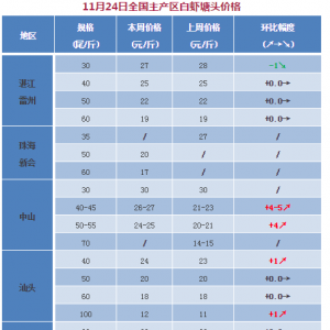 ����(qi��ng)�����V�|�r�r���m(x��)�ϝq��_2017��11��24��ȫ�����r�������^�r