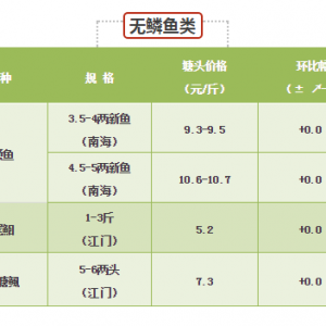 2017��11��24���S��~/�����|/���~/���|/��β�t���r��