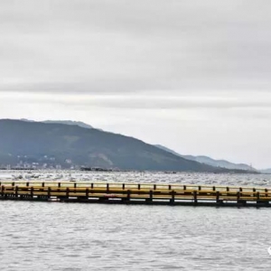 ���´��S�~�Ĵ󺣵����������r֮�ã�