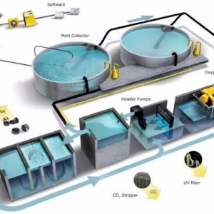 ѭ�hˮ�Bֳ����Ҫ�c���y�c