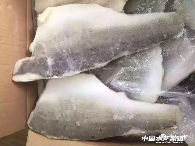 2017��11��27�պ��r����(y��ng)��Ϣ������˹�Ӻ��L�~ǰ�������|�~��