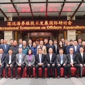 ���T�Ŀ�����@8�����ҵĸ߶��Pע��