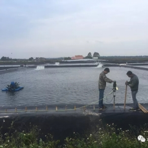 2017��12��2��ȫ�����r�������^�r