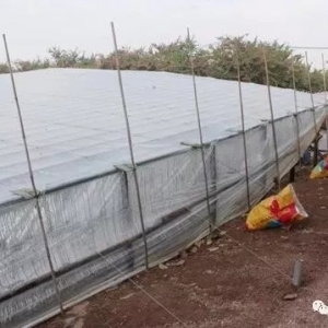 ���L���������������ڶ����B�r�ɹ�����