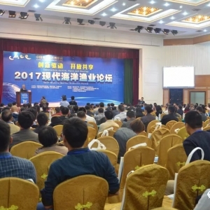 �@һ���� ͹�@���d���F�����L���������X��