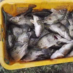 ���w�����������V���Z�~������У������Z�~8��������u28Ԫ/�