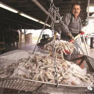 ̩������ȫ���ֹ�M��ӡ���@5��r��