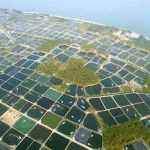 һ������Ҋ�����ĳ������Z���������ݡ���