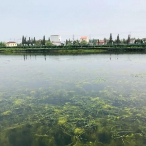 ��з�Bֳ�����������������