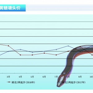 ���~:����ձ����r(ji��)��(w��n)������ꑴ�Ҏ(gu��)��W�����r(ji��)�����л���-2017�꡶ˮ�a(ch��n)ǰ�ء�12�¿��� ...