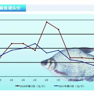 ���~���r(ji��)����m(x��)���ԡ���ˮ�a(ch��n)ǰ�ء�2017��12�¿��Ј�څ��(sh��)