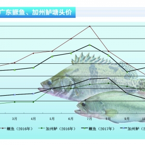 �����|�����~�������У��������@����ˮ�a(ch��n)ǰ�ء�2017��12�¿��Ј�څ��(sh��)