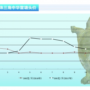 ���~���r(ji��)����(w��n)  ��?q��)���������ˮ�a(ch��n)ǰ�ء�2017��12�¿��Ј�څ��(sh��)