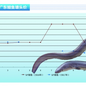 �S�X���r����ڻ������L��څ�ڷ���-��ˮ�aǰ�ء�2017��12�¿��Ј�څ��