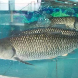 ��՚�ʹ���~�r(ji��)�������f����ɽС���~��ߝq7ë���������u��14Ԫһ�