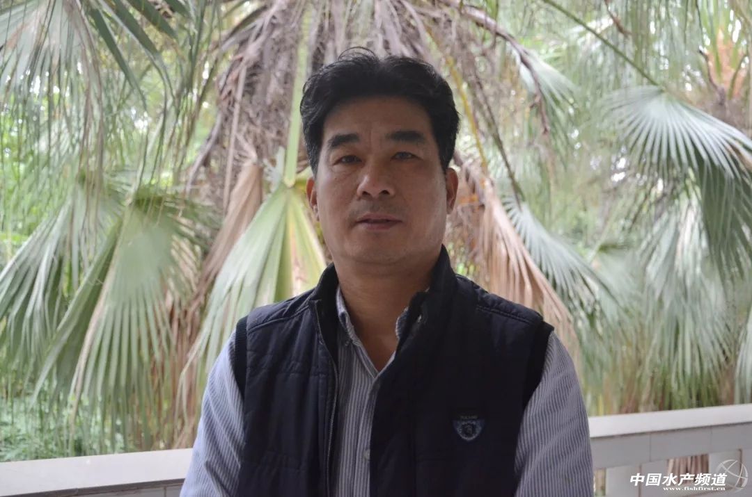 ��������ďU���@����I(y��)���������