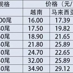 2017��12��20��-12��26�Ֆ|�ρ��r�r