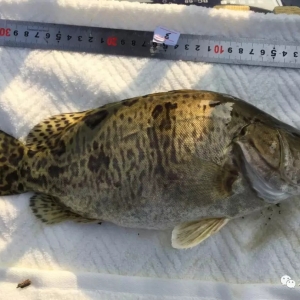 �齭ˮ�a�о������Z�~���N�x������ȡ���ش��Mչ��