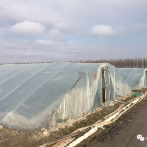 ֱ����|偠t�r������һ���u58Ԫ����