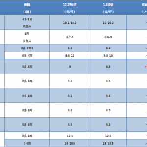 2018��1��1���S��~���^�r���麆��--�~�r�������