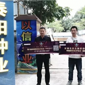 �m�f�y����Ӣ�������y�ƺ�����һ�N���B����