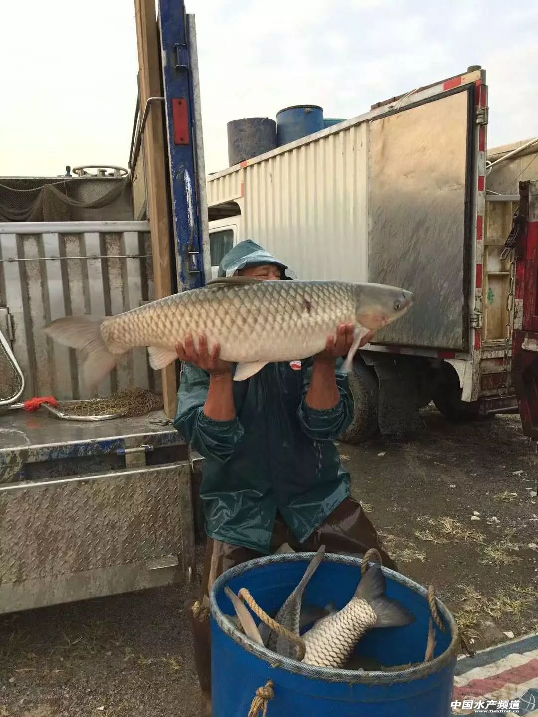 �A�ϲ��~��N�oȱ���r(ji��)���^�m(x��)�ϝq��