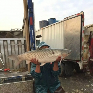 �A�ϲ��~��N�oȱ���r���^�m�ϝq��