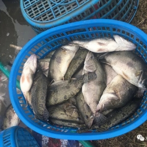 ���f���~����ѩ����·���᧿�Σ��