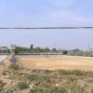 ω��߀���������B�r���Ρ��ױ㡱�����L