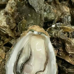 2018��1��6�պ��r������Ϣ����ϖ����϶ࠖ���r