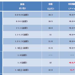 ���K�~2018��1��7�����^�r