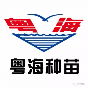 Ո�������@��һ�⡰��������˾�l(f��)�o����VIP��Ո��