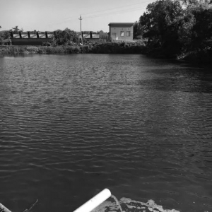 �h(hu��n)���L��ͣЪ���V�ݡ���ɽ���Ҫ��ֹˮ�a(ch��n)�B(y��ng)ֳ��