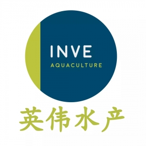 Ո���գ��@��һ�⡰Ӣ������˾�l�o���VIP��Ո��