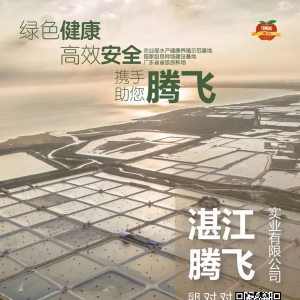 ��Ӌ(j��)�r(sh��)10�죡�@��һ�⡰�v�w����˾�l(f��)�o������Ո��