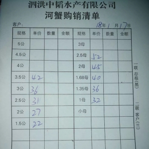 2018��1��17���rз�r��