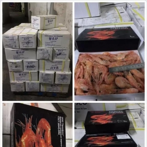 2018��1��18�պ��r������Ϣ��������ǧ���ݡ����_˹���r