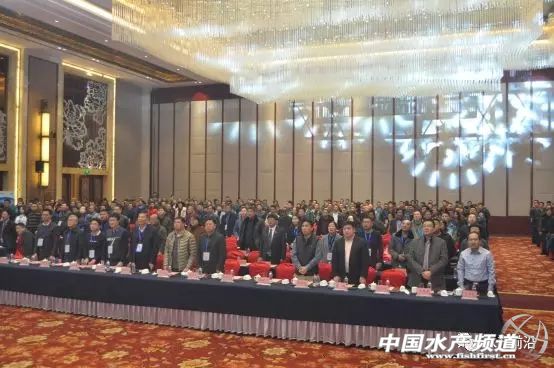 �@�������տ����㣬�r�ϱ���150%!