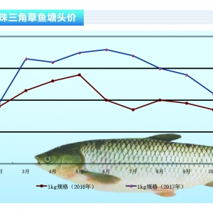 ���~���ϱ��r���^���B���^������ˮ�aǰ�ء�2018��1�¿��Ј�څ��