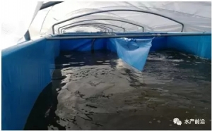 �����@������(bi��o)�磬P4��3cmֻ��30��߀��ʡ�X