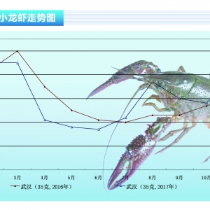 С���r�����r���_�����ߡ���ˮ�aǰ�ء�2017��12�¿��Ј�څ��