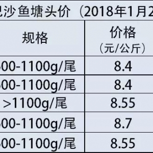 2018��1��23��-29��Խ�ϰ�ɳ�~���^��(b��o)�r(ji��)