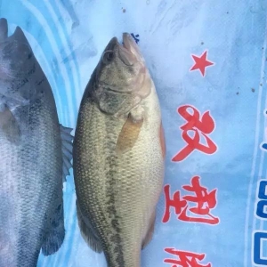 ��(ji��)�ռ����|�������󣬃r(ji��)���(hu��)�q�᣿